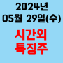 오늘의 시간외 특징주 2024년 5월 29일(수)