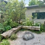 [철학이 있는 정원] 원시의 본연한 자태가 던지는 질문, 기본학교 정원 ‘미문’