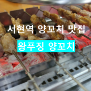 서현역 양꼬치 잡내 없고 식감 좋은 양갈비살이 맛있는 왕푸징 양꼬치
