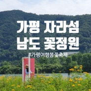 [가평 여행] 자라섬 남도 꽃정원 자라섬 입장료, 주차료 꽃 페스타 봄꽃 축제 기간