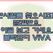 반사필름 찾으시죠 그렇다면 블락포디 비바(viva) 썬팅필름 추천드립니다