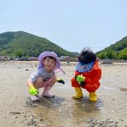 [경남 남해] 아기랑 가기 좋은 둔촌갯벌체험장 / 독일마을