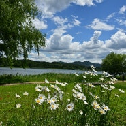 봄날 정경情景 흰 구름과 푸른 하늘