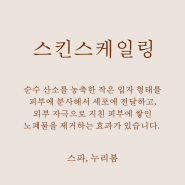 김해피부관리 스파, 누리봄의 스킨스케일링