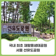 국내 최초 재활용생태공원 서울 선유도공원 (Feat. 제로웨이스트샵 알맹상점)
