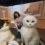 서울국립민속박물관 / "요물" 우리를 홀린 고양이, 무료 전시 관람후기