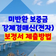 미반환보증금 지급명령에 의한 강제소송 보정명령하는 방법.인터넷 전자소송