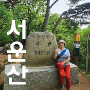 [안성 청룡사로 오른 서운산 등산 코스로의 산행] 경기 안성 2024. 5. 25. 토