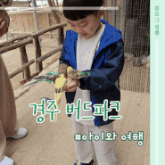[경북 경주] 아이들의 행복한 추억을 만드는 "버드파크"