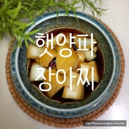양파장아찌만드는법/조림장안끓인양파장아찌/여름반찬장아찌만들기/햇양파장아찌