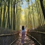 일본 오카야마 여행 힐링 대나무숲에서 인생샷 촬영 일본 힐링 여행지