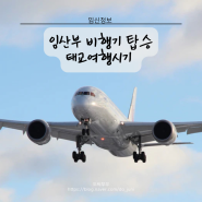 임산부 비행기 탑승 꿀팁 태교여행시기
