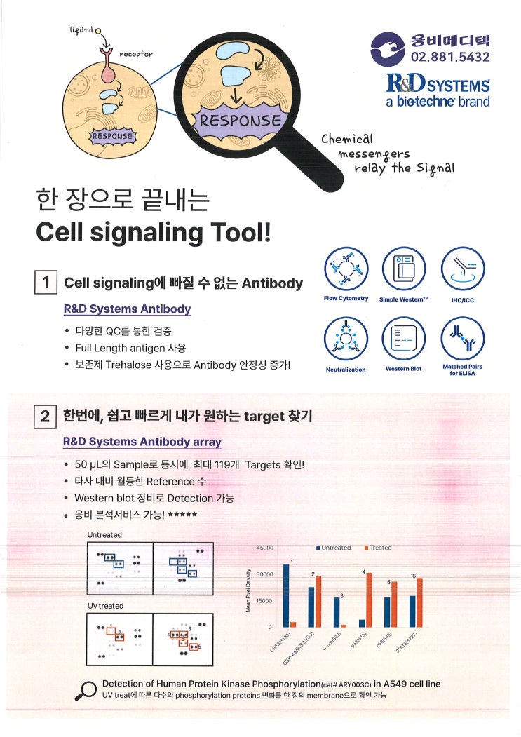 한장으로 끝내는 Cell signaling Tool! : 네이버 블로그