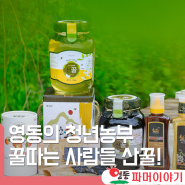 충북 영동 청년농부 꿀따는 사람들 산꿀 이야기