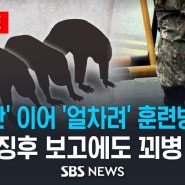 군대에서 또 끔찍한 일이 생겼다