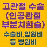 인공관절부분치환술 입원, 수술 후기_고관절 수술, 인공관절 수술비, 입원비, 병원비 등