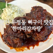 [천안] 천안 두정동 맛집 '한마리감자탕' 뼈구이 맛집