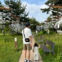 김포 한옥마을 아트빌리지 아이랑 산책하기