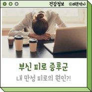 부신피로증후군:내 만성피로의 원인?!