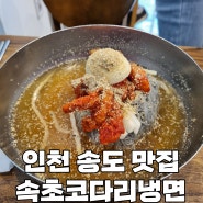 인천 송도 커넬워크 맛집 | 속초코다리냉면 송도본점 방문 후기