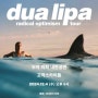 두아 리파 내한공연 (DUA LIPA : Radical Optimism Tour 2024) 단독판매 기본정보 | 콘서트 티켓팅 예매 가격