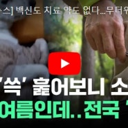 [자막뉴스] 백신도 치료 약도 없다…무더위 예고된 이번 여름 등장한 게 / JTBC News