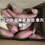 [온라인 작물 수확] 고구마 공짜로 받는 방법 '올웨이즈팜 올팜'