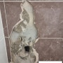 검단 누수탐지 욕실 타일누수 화장실 바닥 배관 부분 교체