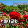 과천 서울대공원 동물원 장미원 코끼리열차 여행