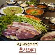 서울 서대문역 맛집 미나리향 가득 담은 삼겹살 초식돼지