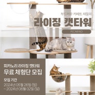 피카노리 고양이 기둥 스크래쳐 라이징 캣타워 무료체험 이벤트