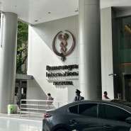 🇹🇭 D+324 | 방콕 범룽랏 국제병원 | 속눈썹 펌 망하고 병원 다녀온 썰 (5월 28일 화요일)