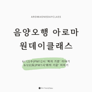 부산/해운대)6월 '음양오행' 아로마 원데이클래스