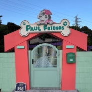 폴 프렌즈 - 행복한 댕댕이들을 위한 복합공간 (유치원, 호텔, 펫 파크)