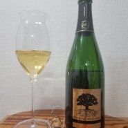 '#98' 상파뉴 마르토 귀욤 에센셜 브륏/Champagne Marteaux Guillaume Essentiel Brut/이마트 샴페인 추천
