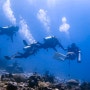 세부 다이빙 오픈워터자격증 취득 후기 막탄 뉴그랑블루