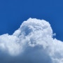 구름, 의식의 흐름, 파란 수국 - 울프, 댈러웨이 부인