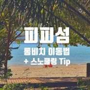 피피섬 롱비치 가는 법 (도보, 롱테일 보트 + 스노클링 물놀이 Tip)