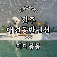 전북 전주 애견동반여행 (2)전주 애견동반 독채 펜션 ‘미미몽몽’