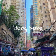 현대카드 사용자라면 홍콩 여행을 더 편리하게! 옥토퍼스 카드 애플 페이 등록 방법