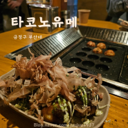[부산대 타코노유메] 직접 타코야키를 만들어 먹을 수 있는 부산대 일식 맛집 타코노유메