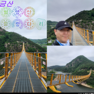 충남 금산 가볼만한곳 월영산출렁다리 데이트 장소로 좋아요