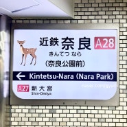 오사카 난바에서 나라 사슴공원 가는법 긴테쓰 나라역