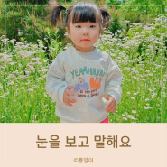 엄마 성장일기 아이와 눈맞춤하기 눈을 보고 말해요