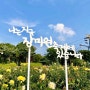 이번 주 주말 테마가든에서 진행되는 서울대공원 장미원축제! 즐길거리, 축제일정, 장미현황 이모저모