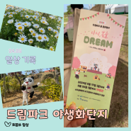 인천 서구 드림파크 야생화단지 봄 문화행사