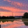 포항 흥해읍 :: 오도리 바다 카페 블랑도도