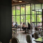 [강남역/신논현역] 알베르 - 4층짜리 테라스 대형 카페/카공, 공부하기 좋은 조용한 카페/디저트 맛집/플랜테리어/소파있는 카페/콘센트있는 협업, 팀플하기 좋은 카페