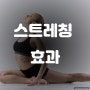스트레칭 효과 홍대 헬스장 ♥ 5월 PT 1+1 이벤트