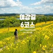 [여주] 걷기여행 여강길 6코스 왕터쌀길 : 세종대왕릉에서 상백2리 마을회관 (금계국 맛집)